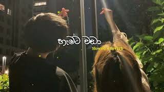 Hamata Wada  හැමට වඩා  Slowed  Reverb  PASIYA vibes [upl. by Colfin]