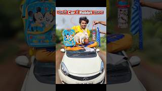 चलती Car मे खरगोश🐰पालना 🤣 rabbit comedy [upl. by Ahtnams444]