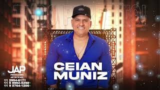 Ceian Muniz  CD Tá Tudo Perfeito Completo [upl. by Leroj]