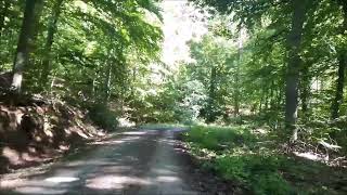 Wanderung ab Diekholzen Parkplatz Hammerstein Schurzhütte und zur TosmarHütte im LK Hildesheim [upl. by Flanigan]