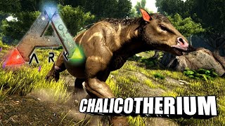 Taming A Chalicotherium  Ark Survival Evolved  The Island [upl. by Anidal722]