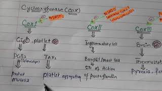 NSAID Pharmacology introduction [upl. by Sibell]