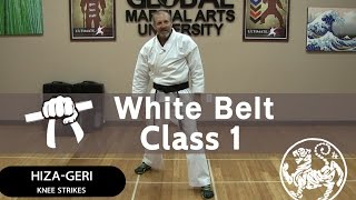 Shotokan Karate Follow Along Class  9th Kyu White Belt  Class 1 [upl. by Annahgiel]