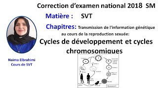 SVT Bac Biof Correction d’examen national 2018 Cycles de développement et chromosomiques 2Bac SMA [upl. by Pasco]