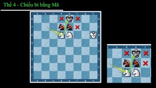 Thế 04  Chiếubí bằng Mã avideocovua shorts avideocovua cờvua mã knight checkmate chess [upl. by Arrio]