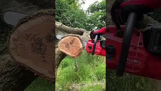 How Powerful is the NEW Milwaukee 20quot Fuel Dual Battery Chainsaw [upl. by Decima548]