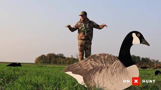 Dive Bomb Specklebelly Silhouette Decoy Unboxing And Review [upl. by Snebur]