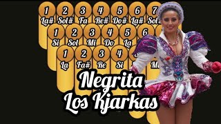 Tutorial y notas de zampoña Negrita  Los Kjarkas Cromática [upl. by Ardeahp568]