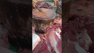 Jhenaidah cow meat market shorts reels viralvideo cow market [upl. by Ettesoj]