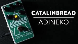 Riff amp Run Catalinbread Adineko Oil Can Delay demo [upl. by Langston]