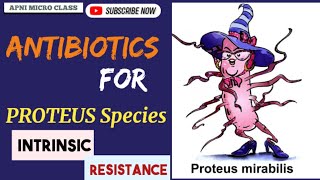 Drugs for PROTEUS Species  Intrinsic resistance  Treatment of UTI [upl. by Eneg732]