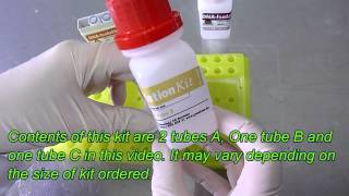 DNA isolation method DNA extraction method from one drop of blood Plasmid isolation Genekam [upl. by Aicenaj]