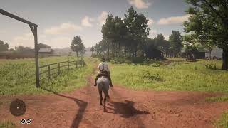 Red Dead Redemption 2 Ambience Spending 2 days at Braithwaite Manor picking Night Scented Orchids [upl. by Ika]