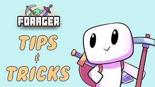 The Complete Feats Guide for Forager [upl. by Namron]