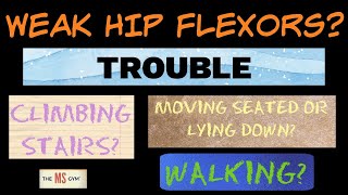 EXERCISE FOR MULTIPLE SCLEROSIS  Improve Your Hip Flexor Strength With This POWERFUL Exercise [upl. by Vivia841]