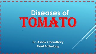 Diseases of Tomato [upl. by Kiefer]