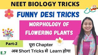 NEET BIOLOGY TRICKS  MORPHOLOGY of Flowering Plants  Part2 [upl. by Aisaim]