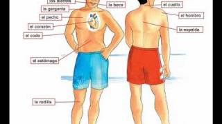 Dolor de cabeza  Learn Spanish body parts [upl. by Zoarah751]