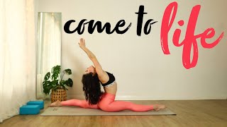 Come To Life 🌱 60 Minute Vinyasa Flow to Hanumanasana Full Splits  Open Your Hips amp Hamstrings [upl. by Nanor]