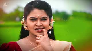 Saravanan meenakshi love bgm 💞90s love bgm saravananmeenakshi vijaytv rakshitha trending short [upl. by Laiceps]