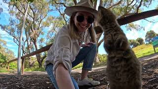 Australian Woman Takes Selfies With Baby Quokka [upl. by Einahpad]