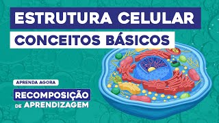 ESTRUTURA CELULAR conceitos básicos  Recomposição de Aprendizagem  Cláudia de Souza Aguiar [upl. by June]