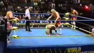 Steiner Brothers vs Bobby Eaton and Larry Zbyszko 2 [upl. by Eseila]