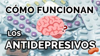 ¿Cómo funciona un antidepresivo 🧠💊 Los ISRS [upl. by Nodla]