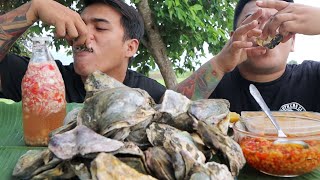 FRESH TALABA  UNI SEA URCHIN MUKBANG  FRESH OYSTER MUKBANG HD [upl. by Durst648]