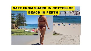 SAFE FROM SHARK IN COTTESLOE BEACH PERTH [upl. by Arvie967]