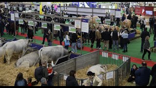 Au Salon de lAgriculture les producteurs laitiers interpellent lEurope [upl. by Enaerb]