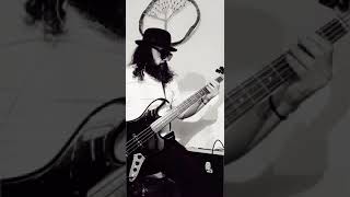 The Commitments  Dark end of the street bass cover [upl. by Ahrens]