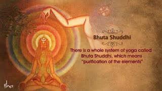 Bhuta Shuddhi  The Ultimate Cleansing  Isha Hata Yoga [upl. by Annez]