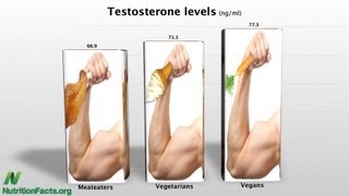 Protein Intake amp IGF1 Production [upl. by Calvin573]