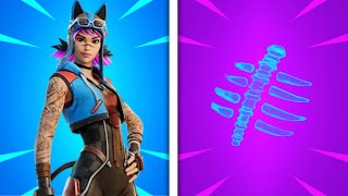 10 Most TRYHARD Renegade Lynx Combos In Fortnite [upl. by Taft]