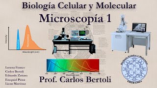 Microscopía de Fluorescencia y Microscopía Electrónica 14 [upl. by Range]