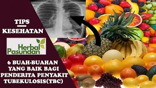 6 Buah Buahan Yang Baik Bagi Penderita Tuberkulosis TBC [upl. by Loesceke]