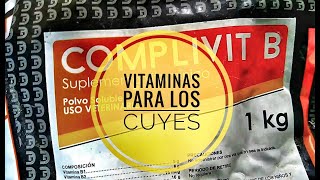 VITAMINAS PARA CUYES COBAYAS 20202021 VITAMINAS CRIANZA DE CUYES [upl. by Wernick]