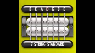 Perfect Guitar Tuner 7 String Standard  B E A D G B E [upl. by Tasha903]