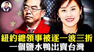 中共紐約總領事被驅逐、被輪換、被上班：共諜事件中美國的軟弱與中共的混亂；紐約州長助理孫雯當中共間諜一家被捕，阻州長與蔡英文見面有功，中共嘉獎一隻鹽水鴨【江峰漫談20240904第930期】 [upl. by Anwad919]