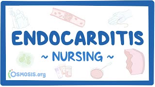 Endocarditis Clinical Nursing Care [upl. by Dur472]