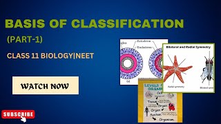 BASIS OF CLASSIFICATION PART1 ANIMAL KINGDOM  CLASS 11 BIOLOGY  NEET [upl. by Leah]