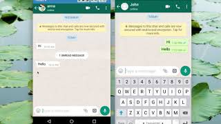 How to Read WhatsApp Messages without Blue Tick Marks [upl. by Persson]