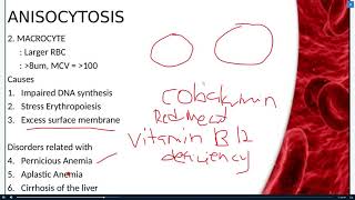 LESSONG 6amp7 ANISCYTOSIS AND POIKILOCYTOSIS [upl. by Perl]