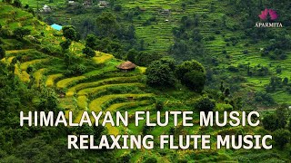 Himalayan Flute Music  Meditation Music  Relaxing Flute Music बाँसुरी Aparmita Ep 131 [upl. by Ynnaffit]