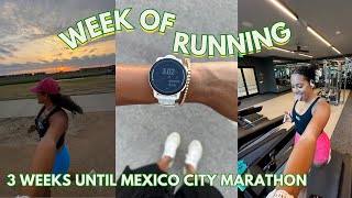 MARATHON TRAINING VLOG 3 Weeks Until Mexico City Marathon [upl. by Ainerbas]