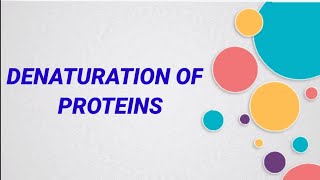 What is meant by denaturation of proteins Biomolecules  class 12  Chemistry  CBSE [upl. by Neely]