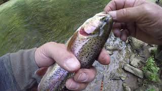 Trout Fishing the Bushkill Creek Out and About Outdoors with Ron and Friends [upl. by Sharma817]