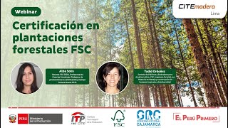 Certificación en plantaciones forestales FSC  CITEmadera [upl. by Eidnak845]