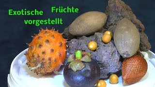 Früchte aus fernen Ländern Exotische Früchte mal ansehen Ein Päckchen für Detlef [upl. by Raymonds]